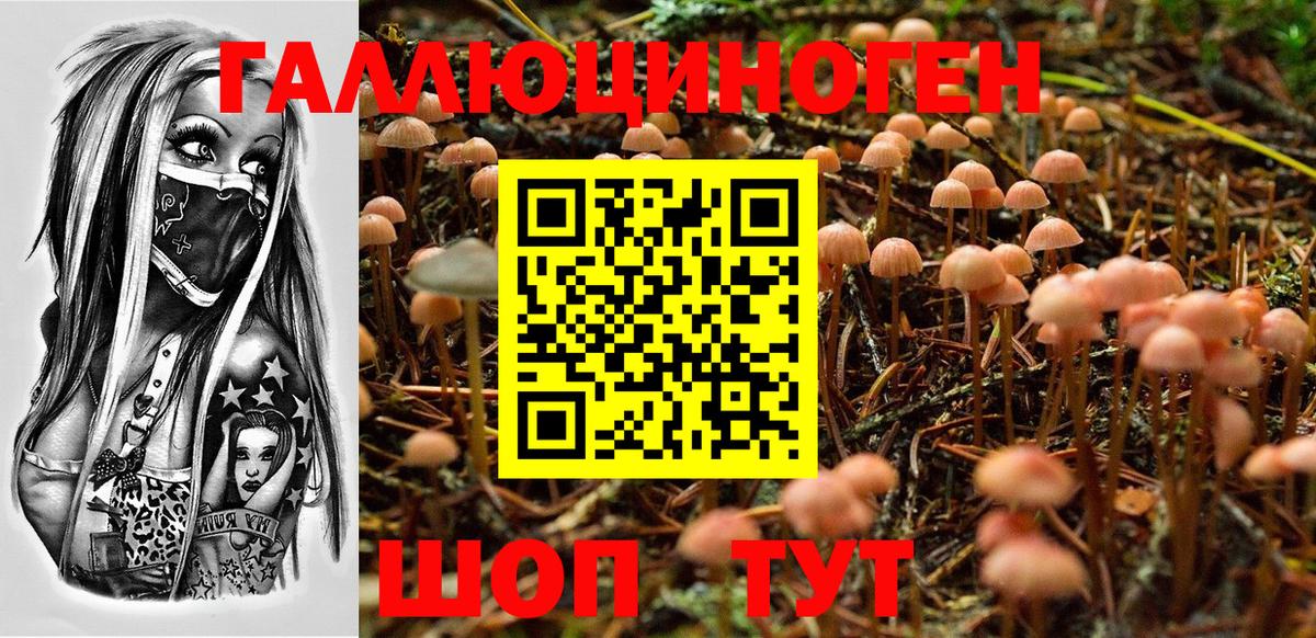 Галлюциногенные грибы мицелий  Галлюциногенные грибы Magic Shrooms  Вход с VPN  Борзя 