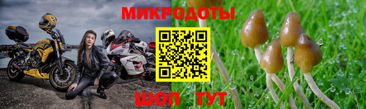 Псилоцибиновые грибы ЛСД Борзя